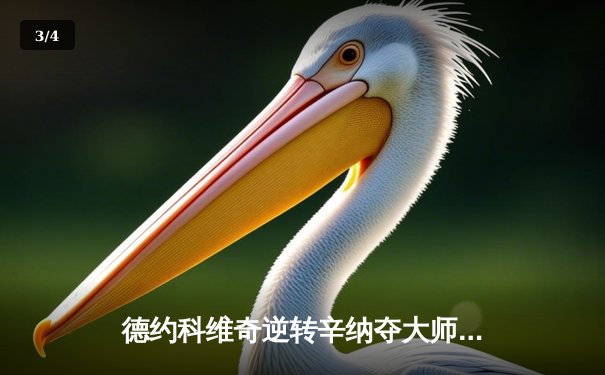 德约科维奇逆转辛纳夺大师赛第40冠 鏖战三盘展现王者韧性 - 3